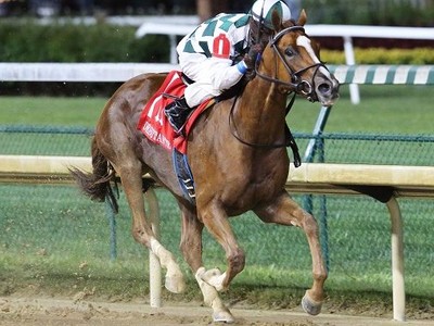 Sunny Skies First Stakes Winner From Animal Kingdom Image 1