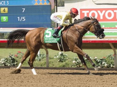 Masochistic Headed To Bob Baffert Racing Stables Image 1