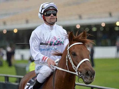 Kiwi Jockey Michael Walker Forced to Dress Down at Flemingto ... Image 1