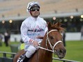 Kiwi Jockey Michael Walker Forced to Dress Down at Flemington