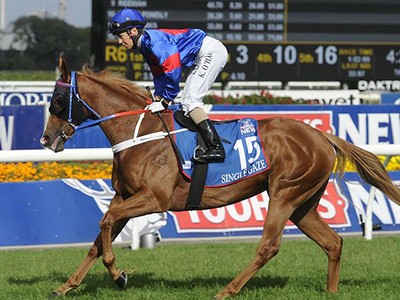 Single Gaze To Target A$3.15 million Caulfield Cup Image 1