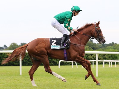 Juddmonte International Stakes Image 1