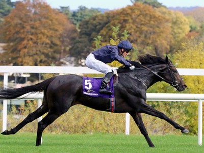 Juddmonte International Stakes Image 6