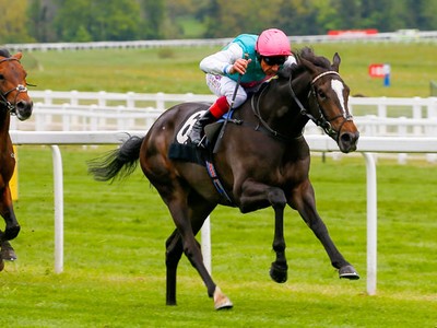 Juddmonte International Stakes Image 7