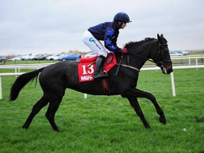 Yorkshire Oaks Image 6