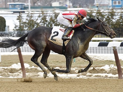 Clash Of The Titans - Travers Stakes 2017 Image 1