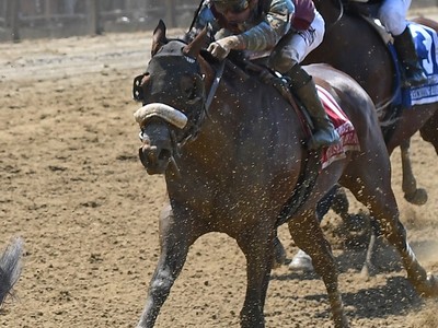 Clash Of The Titans - Travers Stakes 2017 Image 2