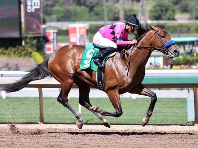 Clash Of The Titans - Travers Stakes 2017 Image 3