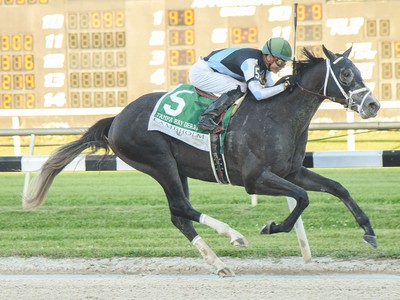 Clash Of The Titans - Travers Stakes 2017 Image 4