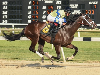 Clash Of The Titans - Travers Stakes 2017 Image 7