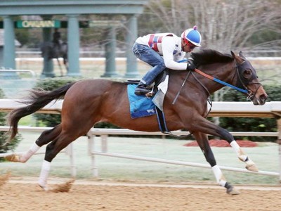 Clash Of The Titans - Travers Stakes 2017 Image 8