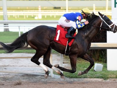 Preview: Trainer Steve Asmussen Hoping For A Woodward Hat-Tr ... Image 1