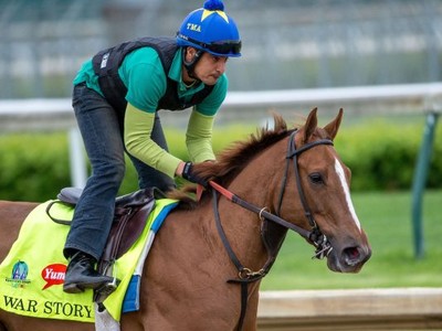 Preview: Trainer Steve Asmussen Hoping For A Woodward Hat-Tr ... Image 4