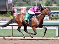 Review: West Coast Steps Into Arrogate’s Footsteps During Travers