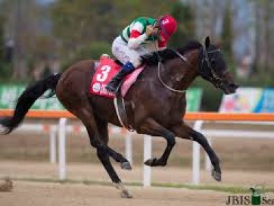 Preview &amp; Trifecta - Chrysolite For Korea Cup Crown Yet Agai ... Image 1