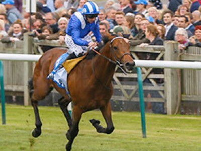 Preview &amp; Trifecta - Ribchester in Arc Trials Line-Up Raring ... Image 1