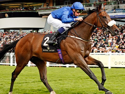 Preview &amp; Trifecta - Ribchester in Arc Trials Line-Up Raring ... Image 5