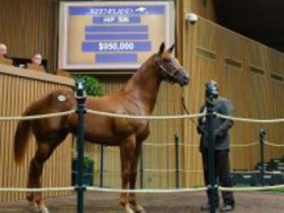 Keeneland September Yearling Sale Image 2