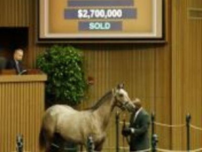 Keeneland September Yearling Sale Image 1