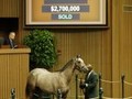 Keeneland September Yearling Sale