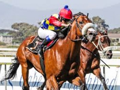 South African Racing Glitters Again Image 1