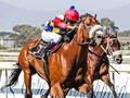 South African Racing Glitters Again