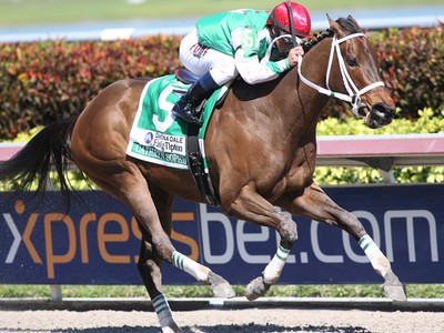 Gr.I Winning Mares In Keeneland Breeding Stock Sale Image 2