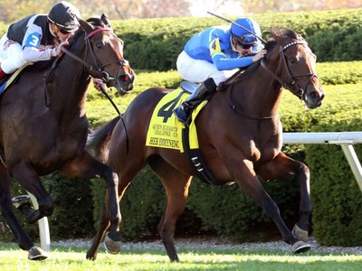 Gr.I Winning Mares In Keeneland Breeding Stock Sale Image 1