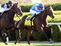 Gr.I Winning Mares In Keeneland Breeding Stock Sale