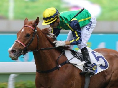 Hong Kong Runner Blizzard Off To Japan Image 1