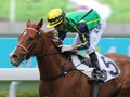 Hong Kong Runner Blizzard Off To Japan