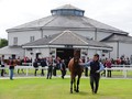 Showcasing colt Topples Record At Tattersalls Ireland September Yearling Sale