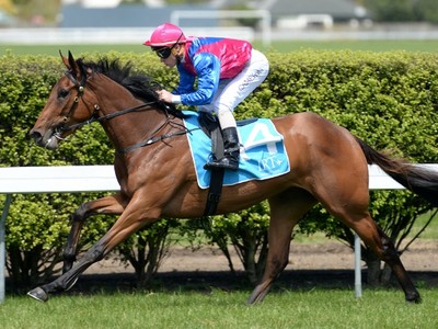 Send a Little Luck To Lizzie L'Amour For Caufield Cup Campai ... Image 2