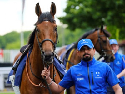 Suroor Horses Not In Quarantine Image 3