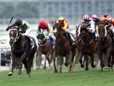 QEII Race Day To Feature Champions Mile &amp; Chairman’s Sprint  ... Image 3