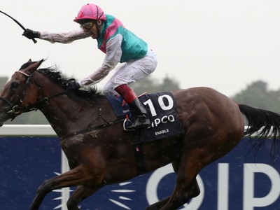 PREVIEW &amp; TRIFECTA - Enable Draws Best Stall In The Arc Image 1