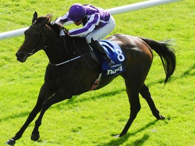 PREVIEW &amp; TRIFECTA - Enable Draws Best Stall In The Arc Image 13