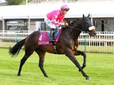 PREVIEW &amp; TRIFECTA - Enable Draws Best Stall In The Arc Image 14