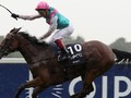 PREVIEW & TRIFECTA - Enable Draws Best Stall In The Arc