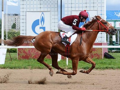 PREVIEW &amp; TRIFECTA - Tayf Remains Favourite in The Arabian W ... Image 10