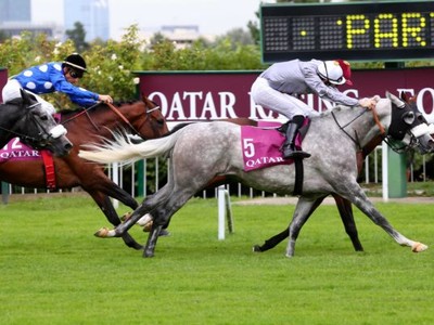 PREVIEW &amp; TRIFECTA - Tayf Remains Favourite in The Arabian W ... Image 4