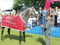 PREVIEW & TRIFECTA - Tayf Remains Favourite in The Arabian World Cup 2017