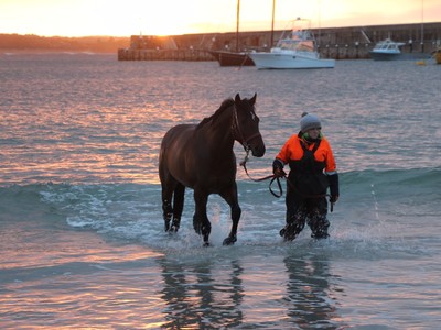 In Conversation with James Heddo, Australian Turf Club Image 3