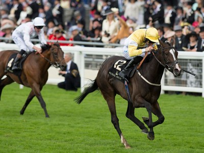 Preview &amp; Trifecta - British Champions Sprint Stakes 2017 Image 12