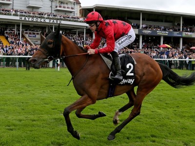 Preview &amp; Trifecta - British Champions Fillies and Mares Sta ... Image 2