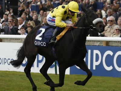 Preview &amp; Trifecta - British Champions Fillies and Mares Sta ... Image 8