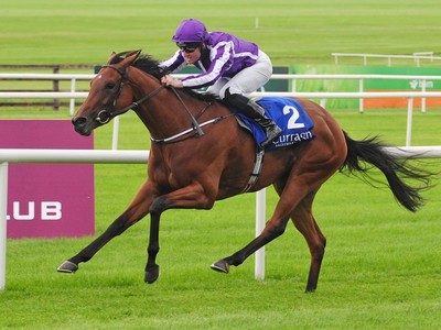 Preview &amp; Trifecta - British Champions Fillies and Mares Sta ... Image 9