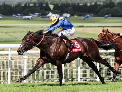 Preview &amp; Trifecta - British Champion Stakes 2017 Image 4