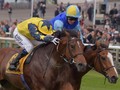 Preview & Trifecta - British Champion Stakes 2017