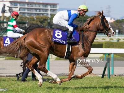 Preview &amp; Trifecta - Tenno Sho (Autumn) 2017 Image 11